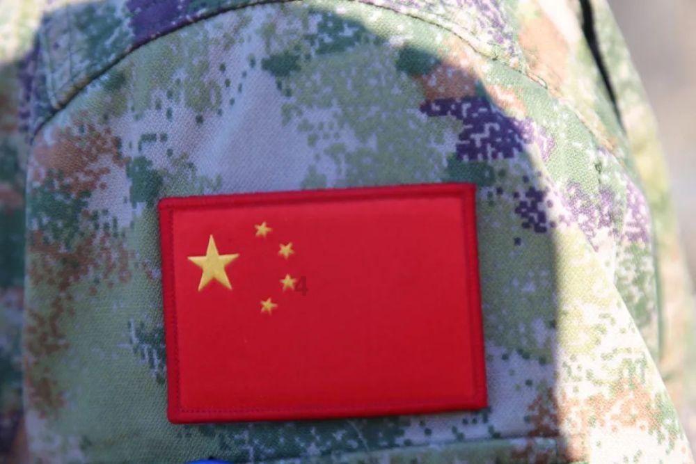 迷你淘气猪逃脱