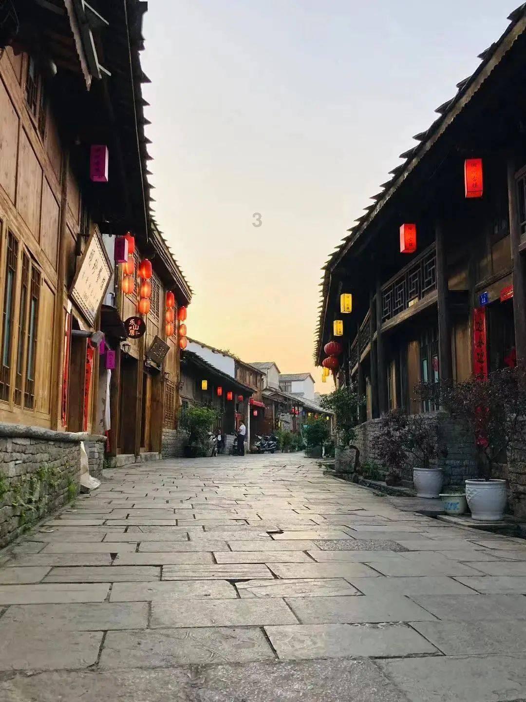 救援可爱的洋葱